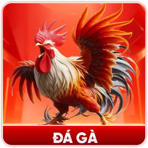 Sunwin – Chuyen Muc Da Ga Ok